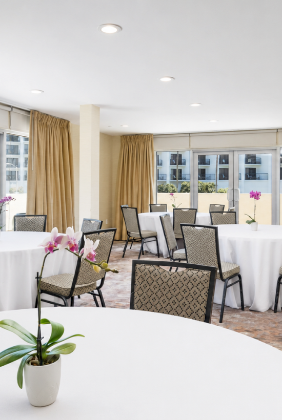 Bright meeting room with tables, chairs, white tablecloths, and potted orchids, with large windows and beige curtains.
