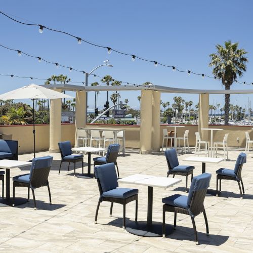Sunny marina patio with blue chairs, white tables, string lights, umbrellas, and palm trees under a clear sky.