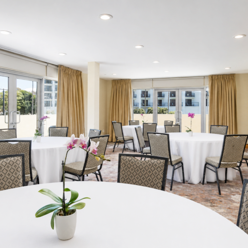 Bright event room set with white-covered round tables, metal chairs, and purple orchid flowers on the tables.