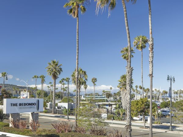 Palm trees sway beside a street and marina, with a sign reading &ldquo;The Redondo Beach Hotel&rdquo; and boats in the distance.